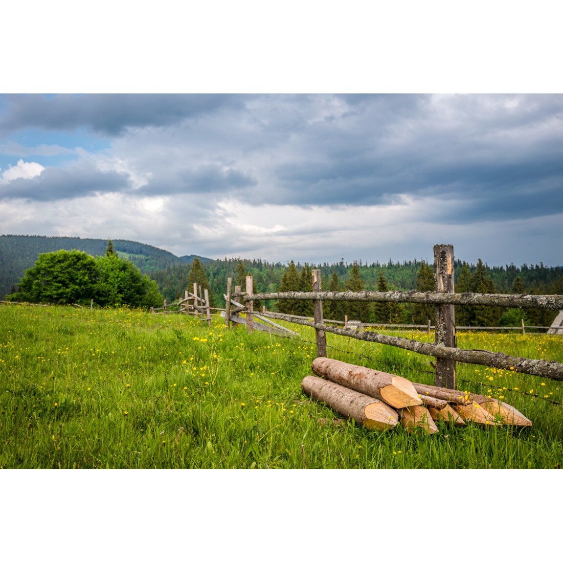 Tablou canvas Natura156, 45 x 30 cm