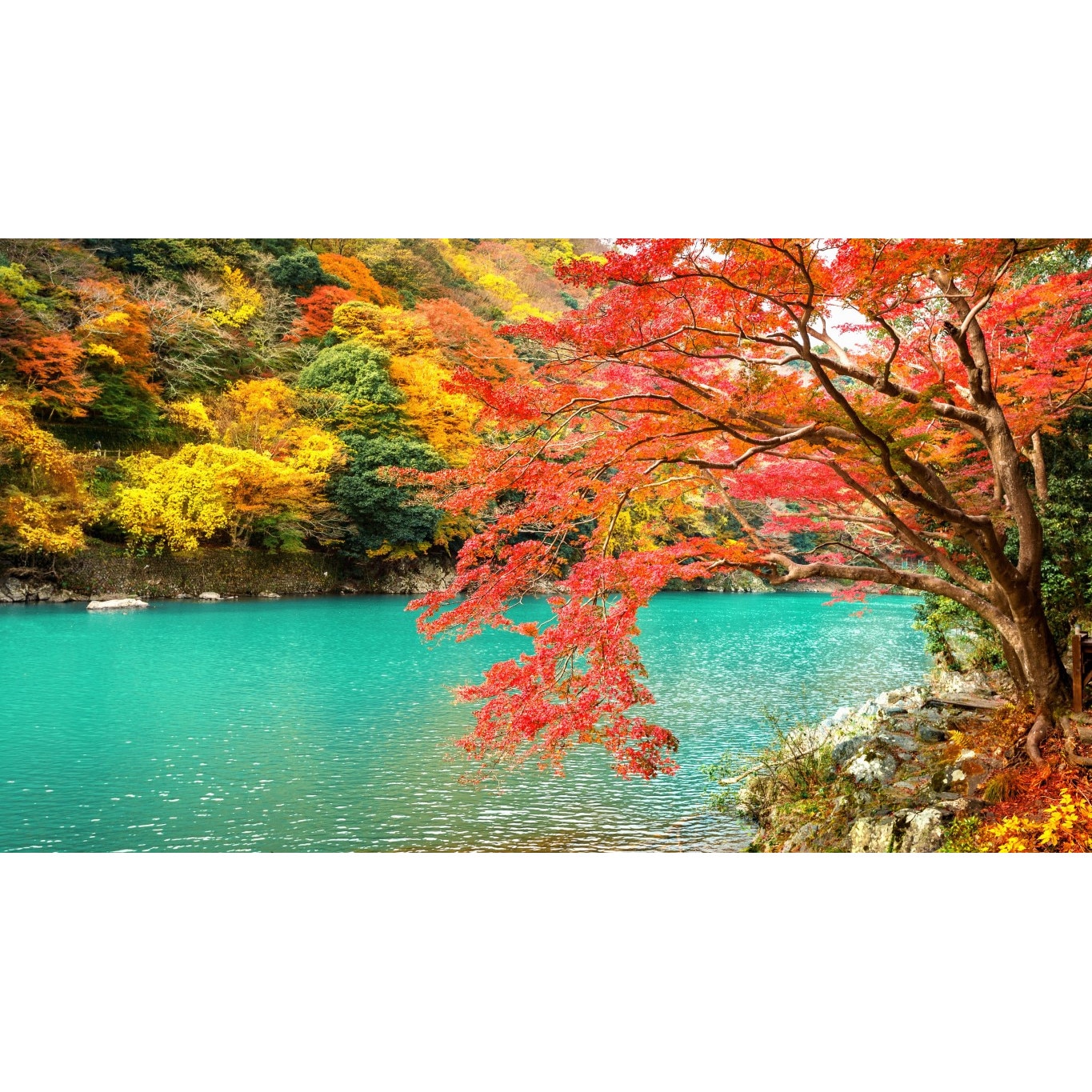 Tablou canvas Natura151, 75 x 50 cm