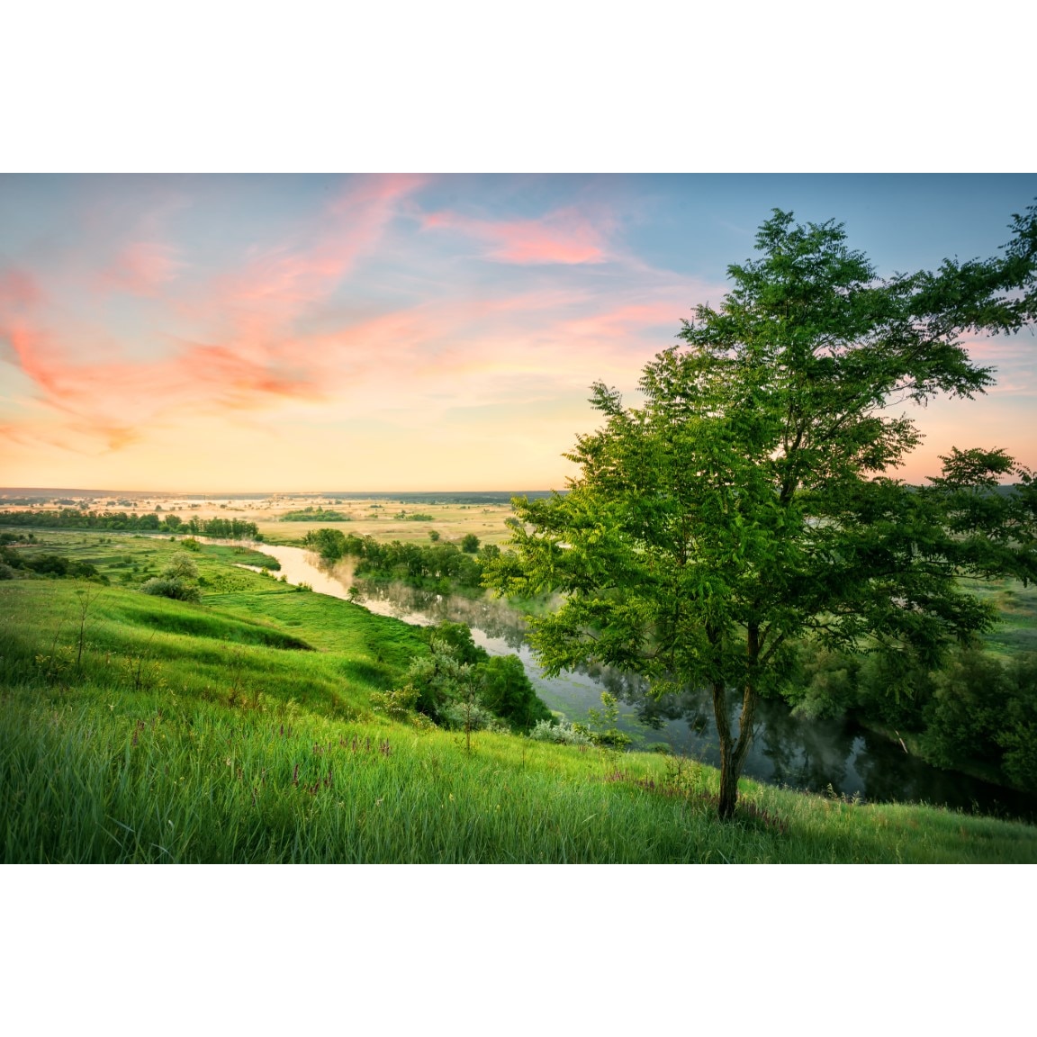 Tablou canvas Natura174, 75 x 50 cm