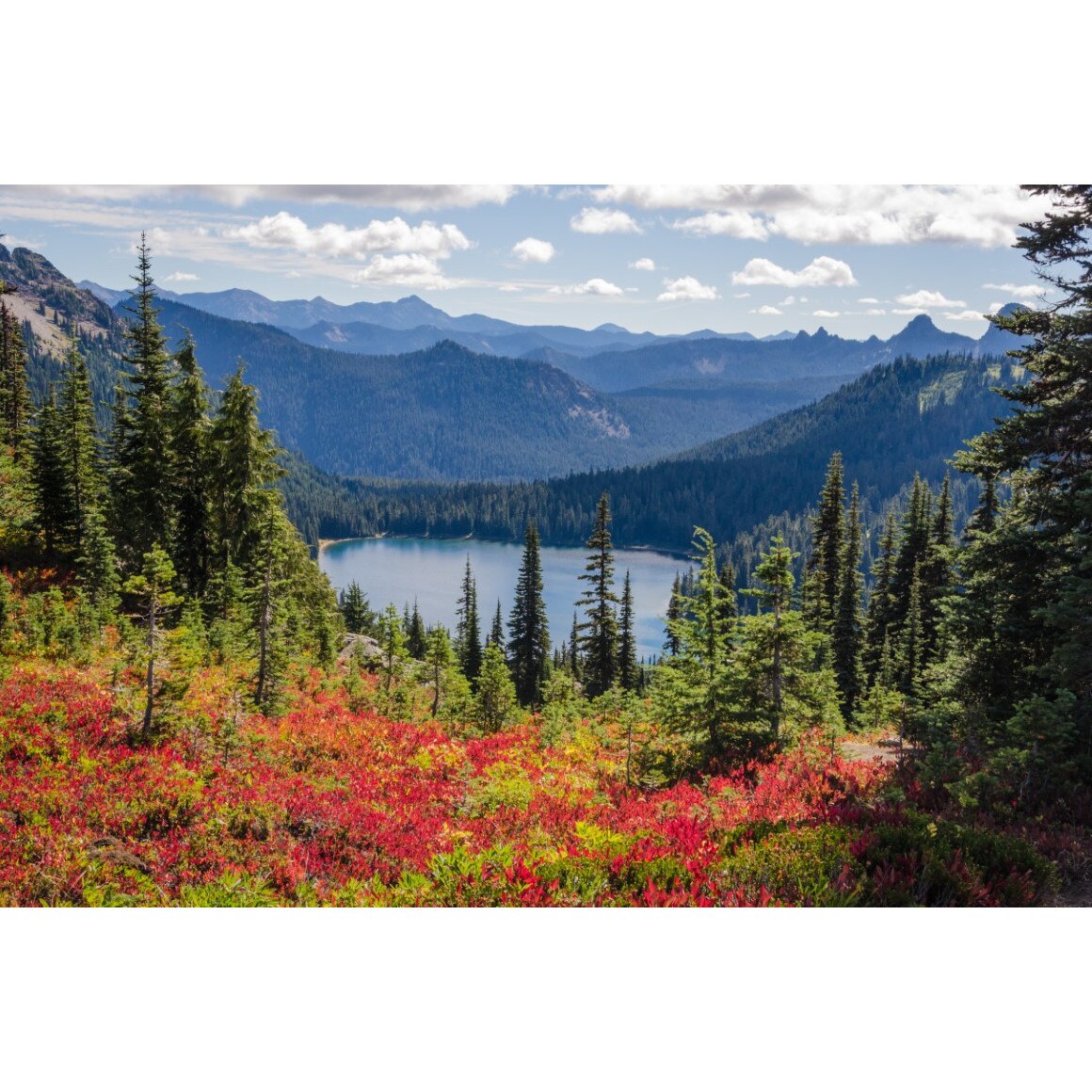 Tablou canvas Natura153, 75 x 50 cm