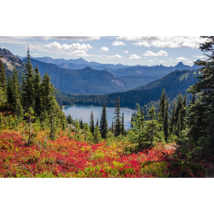 MÉDIA fali tapéta, öntapadó és mosható, természet 153 virágok, tó, hegyek, 270 x 200 cm