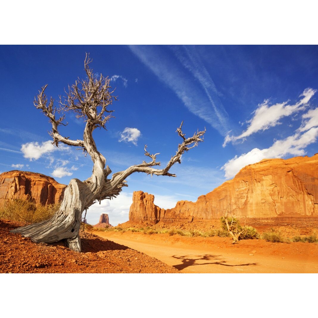 Tablou canvas Natura173, 45 x 30 cm