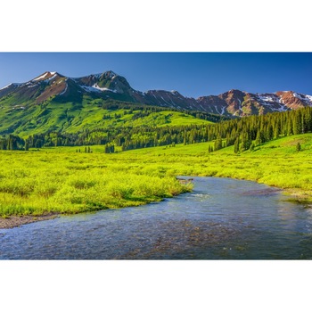 Fototapet de perete autoadeziv si lavabil Natura175 Rau, brazi si munte, 270 x 200 cm Fototapet de perete autoadeziv si lavabil Natura175 Rau, brazi si munte, 270 x 200 cm