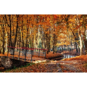 Fototapet de perete autoadeziv si lavabil Padure67 toamna cu pod, 270 x 200 cm Fototapet de perete autoadeziv si lavabil Padure67 toamna cu pod, 270 x 200 cm