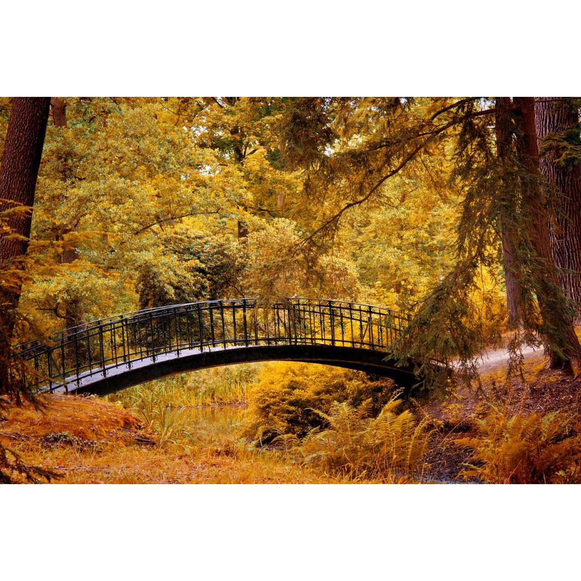 Tablou canvas Padure52 toamna, 45 x 30 cm