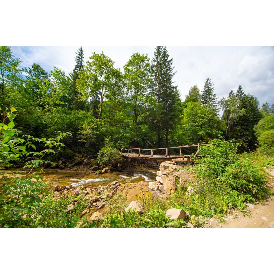 Tablou canvas Padure66 cu podet, 75 x 50 cm