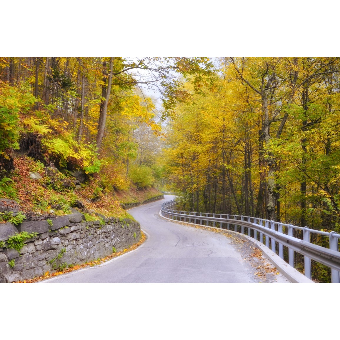 Tablou canvas Padure68 la inceput de toamna, 75 x 50 cm