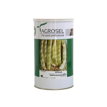 Seminte Fasole Otilia, AGROSEL, 500 g Seminte Fasole Otilia, AGROSEL, 500 g