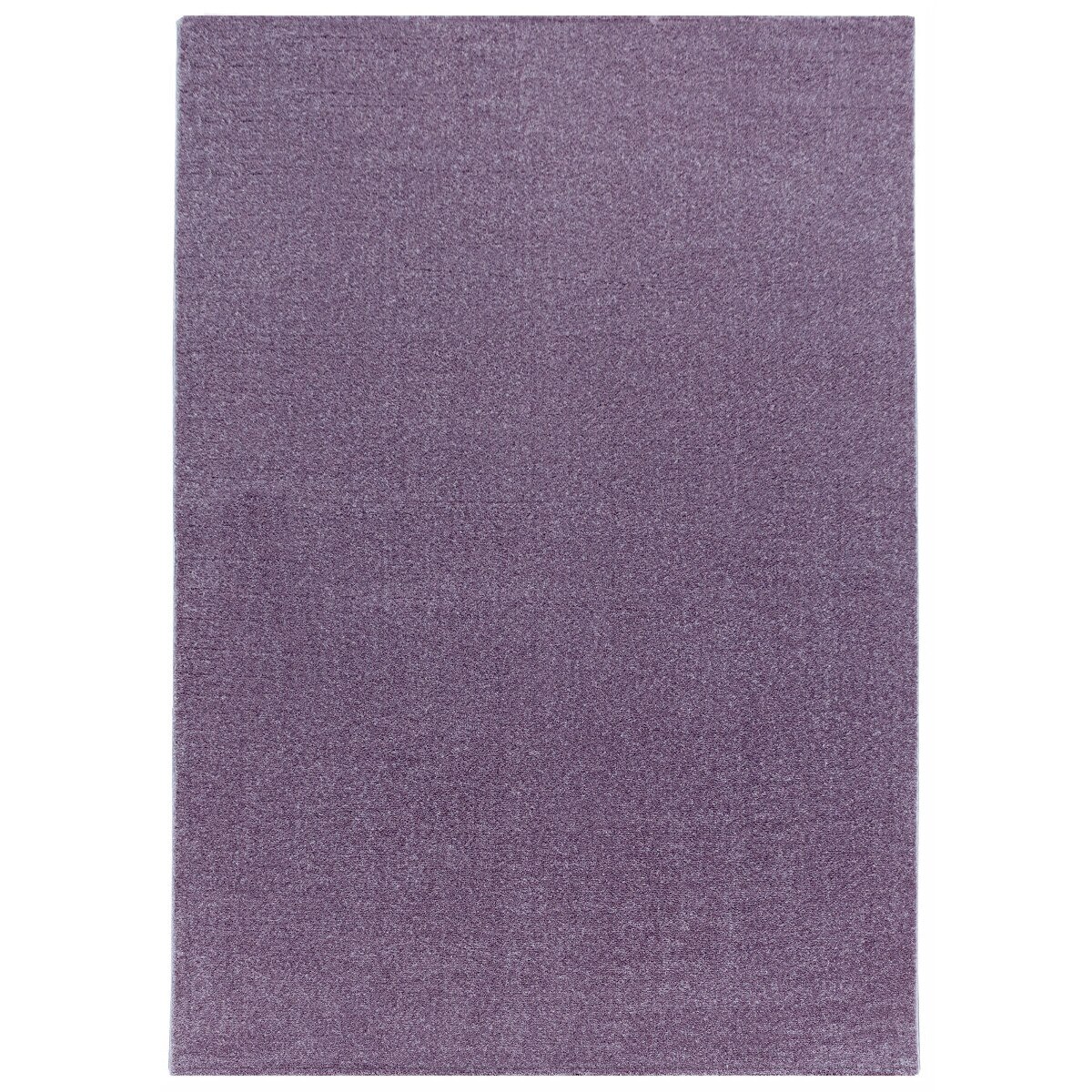 Covor Unicolor Painswick, Mov 80x150, C04-206504