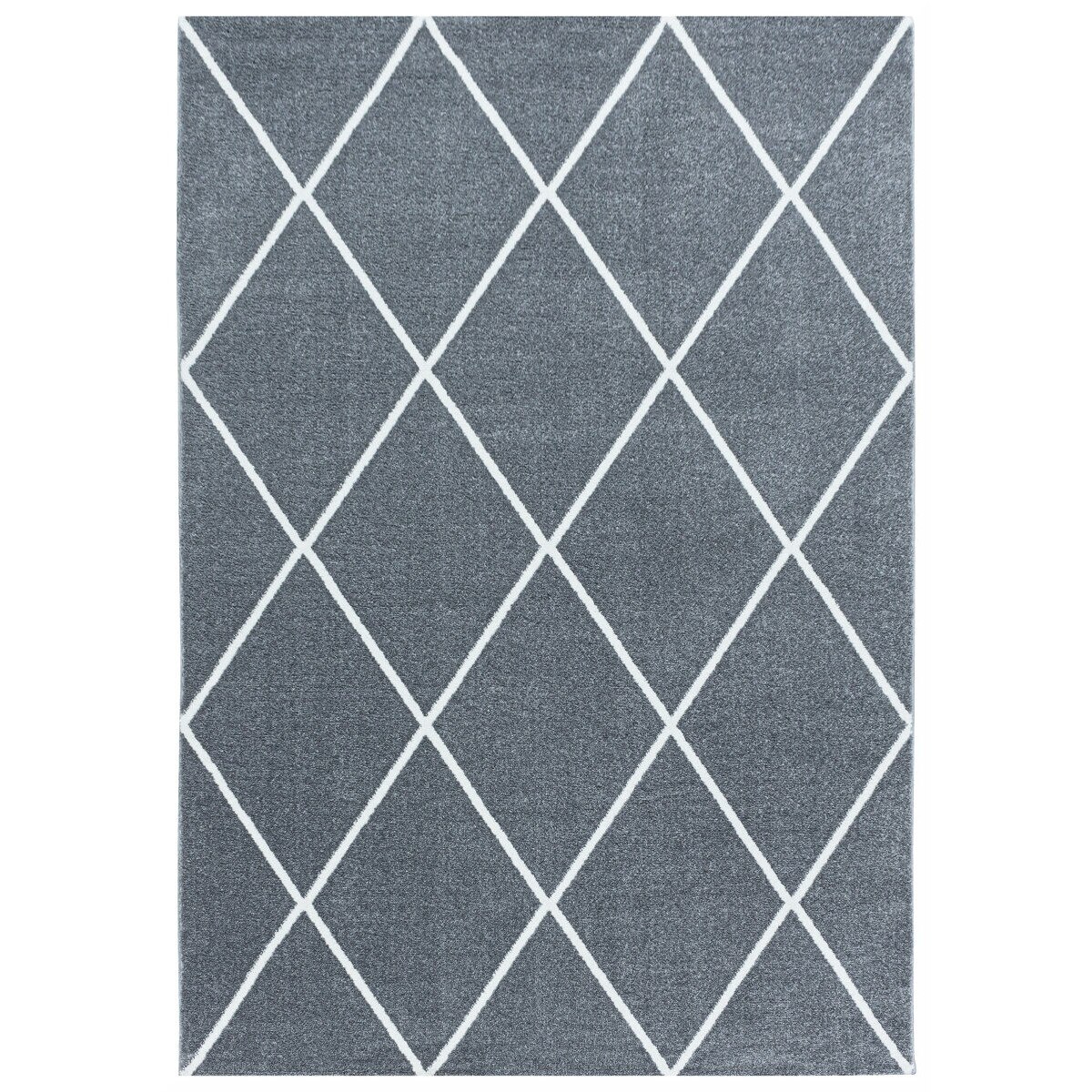 Covor Modern & Geometric Painswick, Gri 80x250, C08-206511