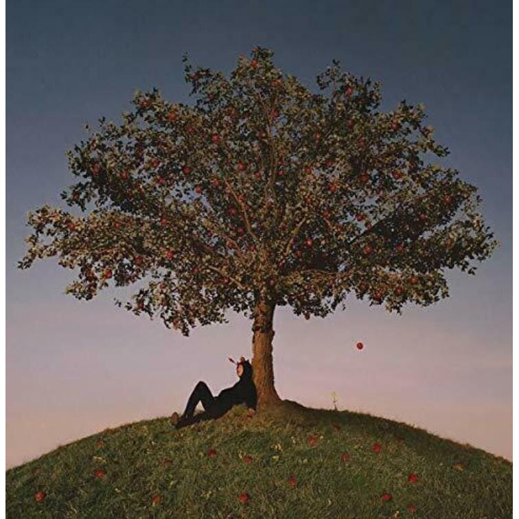 Slowthai - TYRON (CD)