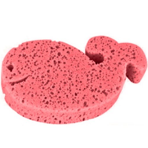 Burete baie, peste rosu, Canpol, 43/104