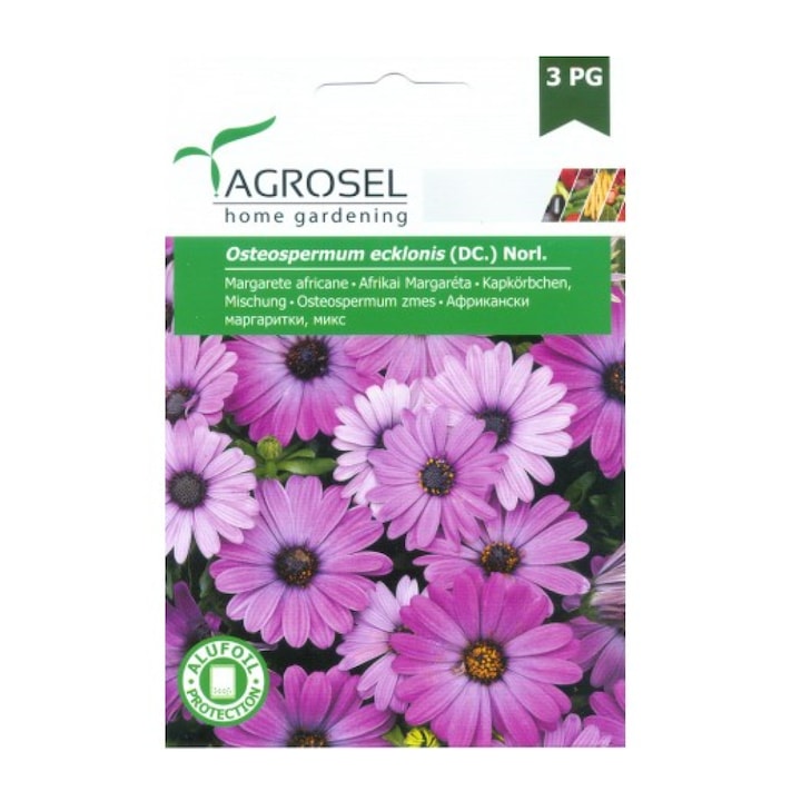 Seminte Margarete africane, Agrosel home gardening, 0,5 g