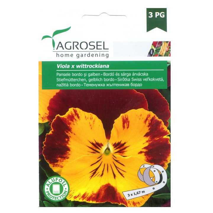 Seminte Pansele bordo si galben, Agrosel home gardening, 50 seminte