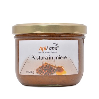 PASTURA IN MIERE- 500G PASTURA IN MIERE- 500G