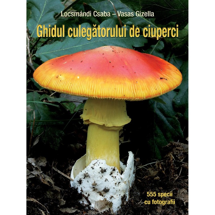 Ghidul culegatorului de ciuperci - 555 de specii -Locsmándi Csaba – Vasas Gizella