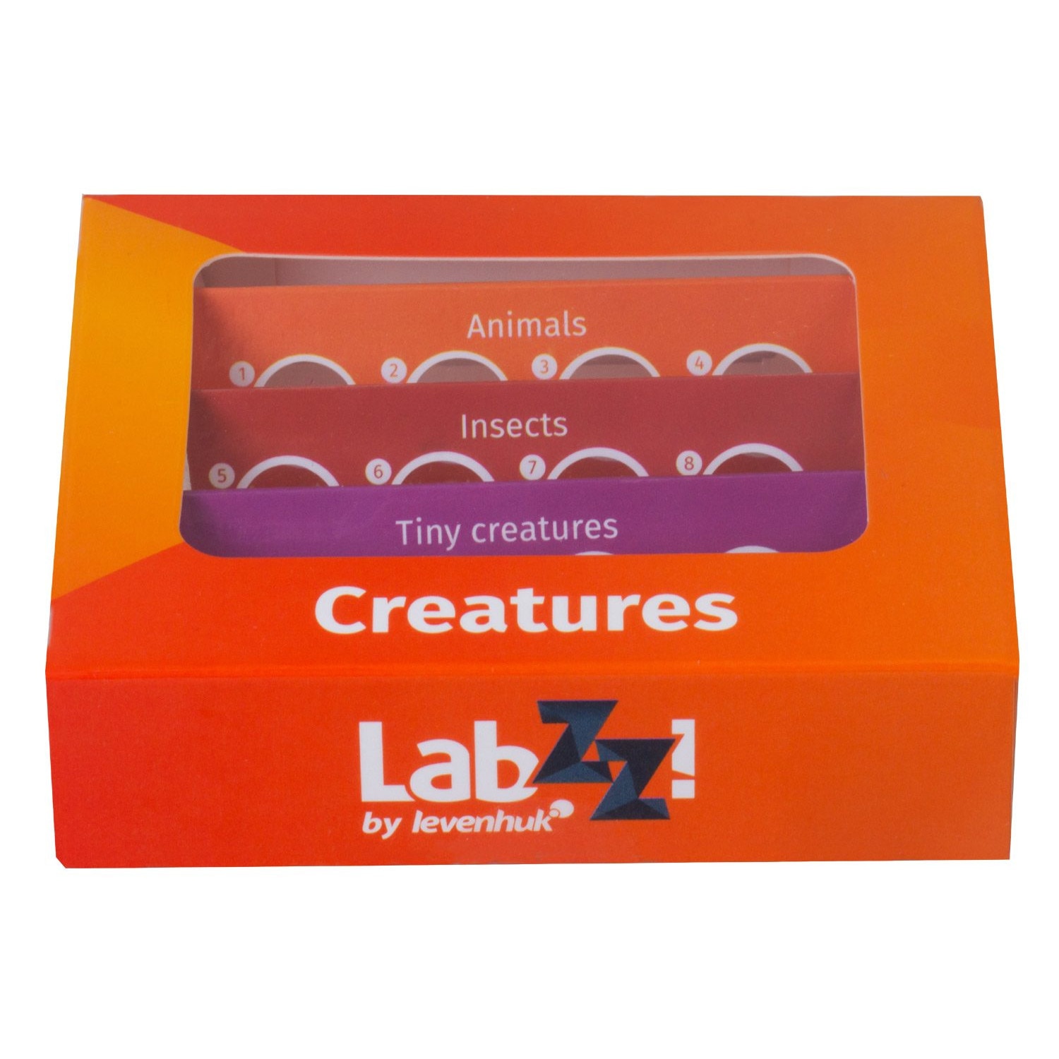 Mua Prepared Plastic Microscope Slides With Specimens For Kids