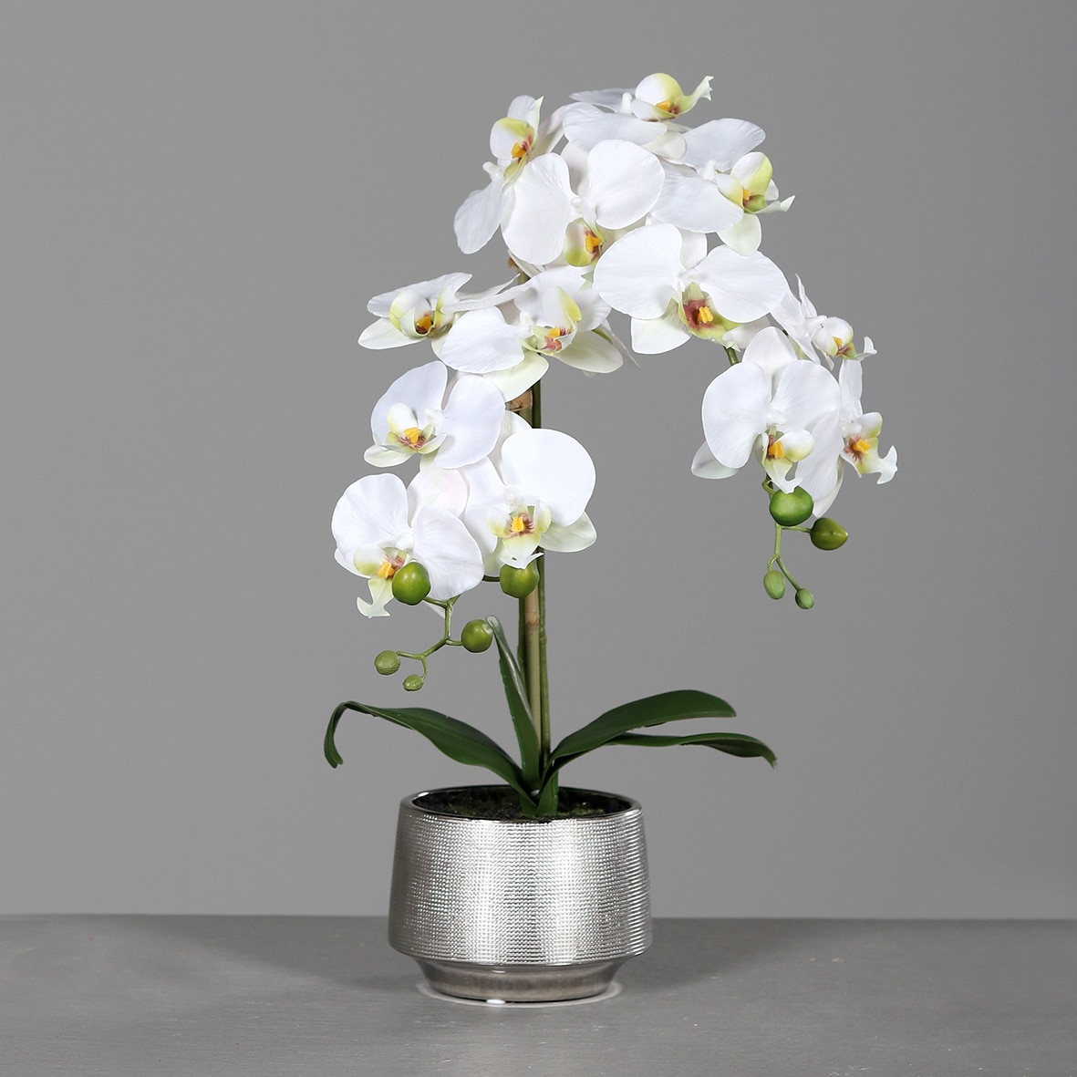 perfume Relationship consonant Orhidee Phalaenopsis alba in vas ceramic argintiu, 60 cm - eMAG.ro