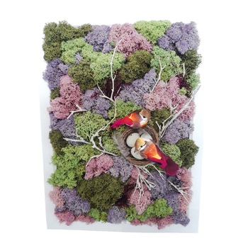 Tablou licheni naturali  Tablou licheni naturali