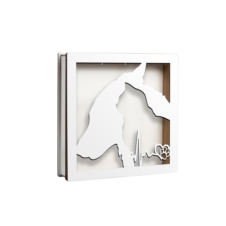 Caseta decorativa pentru licheni, DekoLaser, CDL1112, 20x20 cm