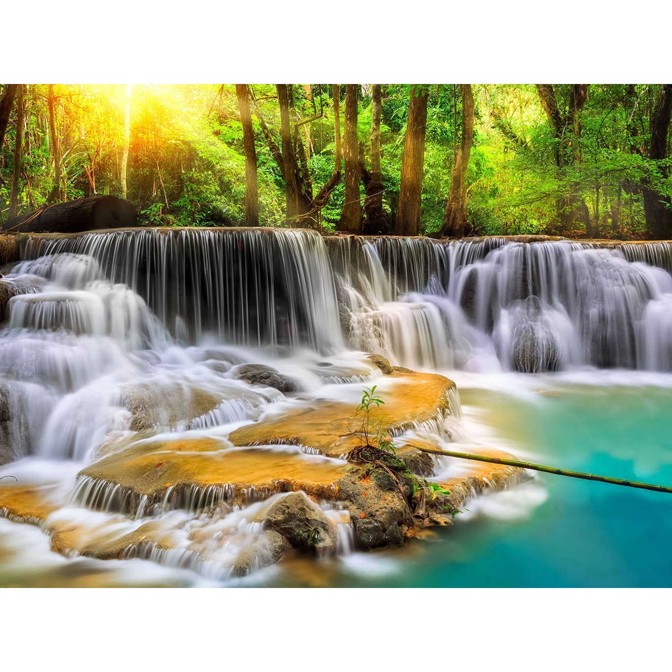 Panou decorativ din sticla securizata pentru bucatarie, protectie aragaz, antistropire, sticla securizata 6mm, Print UV, octopus, imprimata Multicolor, 800mmx600mm oct156-80x60