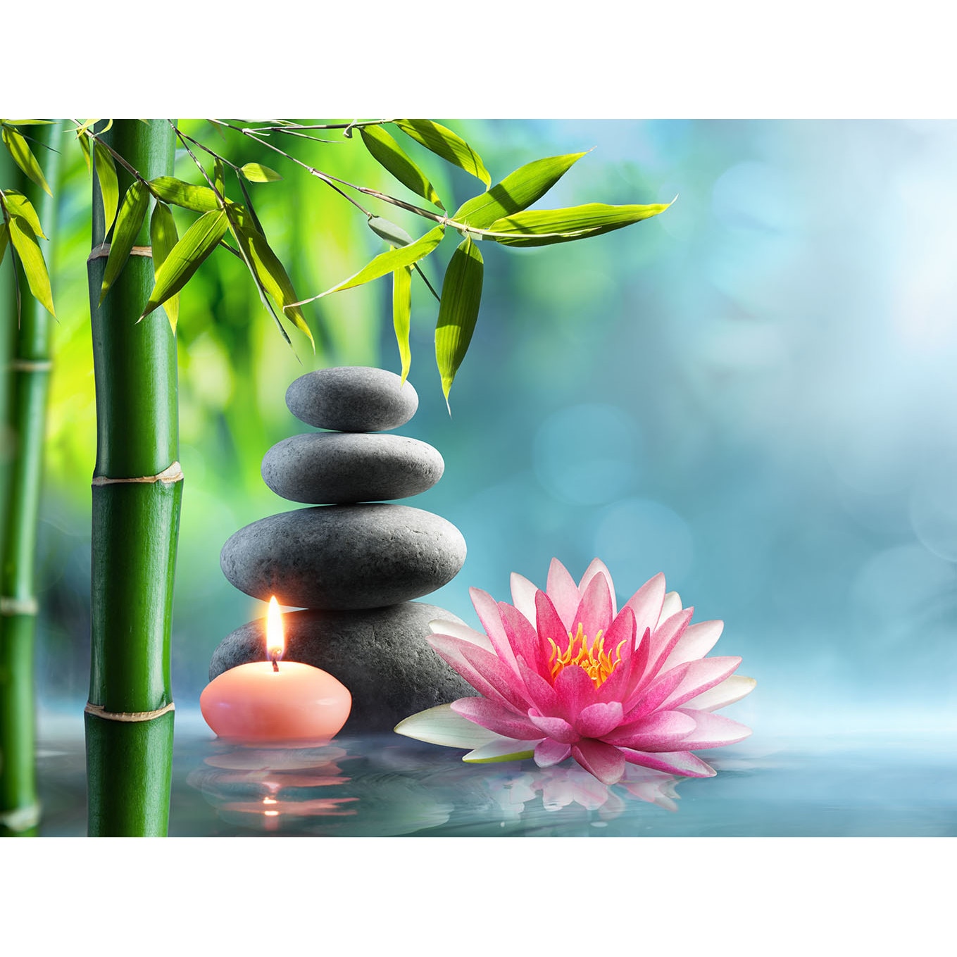 Panou decorativ din sticla securizata pentru bucatarie, protectie aragaz, antistropire, sticla securizata 6mm, Print UV, octopus, imprimata Multicolor, 800mmx600mm oct155-80x60