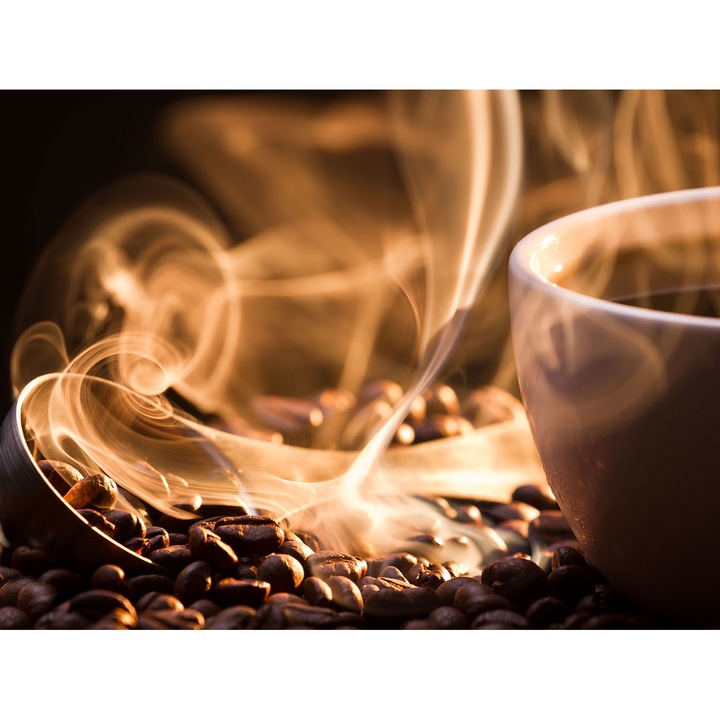 Декоративен панел за кухня, защита на печка, против пръски, безопасно стъкло 6мм, UV принт, октопод, Многоцветен принт, 800ммх600мм окт.159-80х60