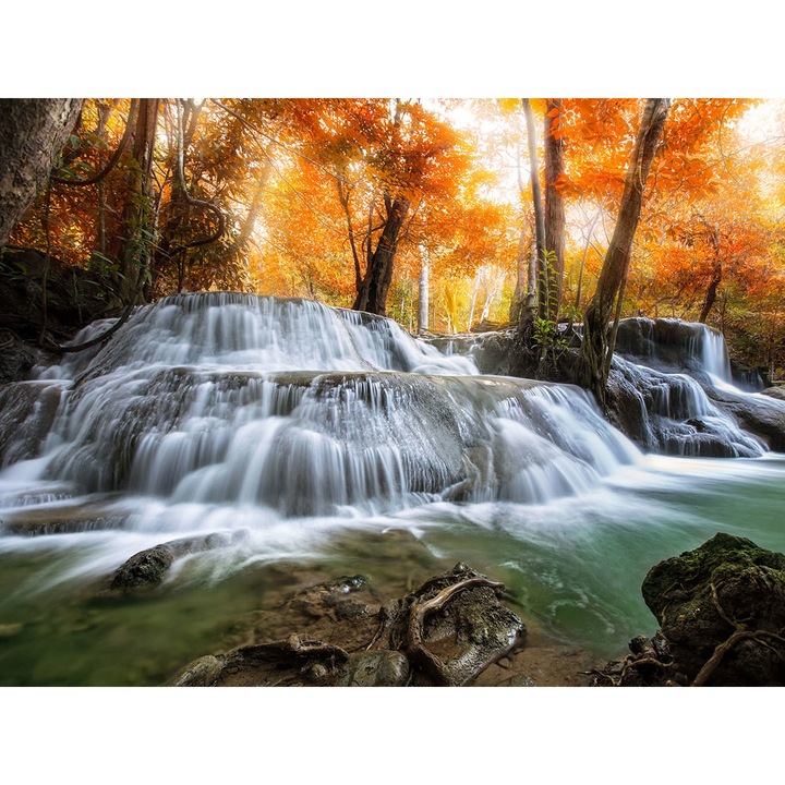 Panou decorativ din sticla securizata pentru bucatarie, protectie aragaz, antistropire, sticla securizata 6mm, Print UV, octopus, imprimata Multicolor, 800mmx600mm oct174-80x60