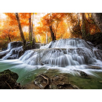 Panou decorativ din sticla securizata pentru bucatarie, protectie aragaz, antistropire, sticla securizata 6mm, Print UV, octopus, imprimata Multicolor, 800mmx600mm oct174-80x60 Panou decorativ din sticla securizata pentru bucatarie, protectie aragaz, antistropire, sticla securizata 6mm, Print UV, octopus, imprimata Multicolor, 800mmx600mm oct174-80x60