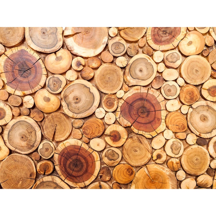 Декоративен стъклен панел за кухня, Octopus, защита на печка, против пръски, безопасно стъкло 6мм, UV принт, октопод, Многоцветен принт, 800ммх600мм окт181-80х60