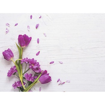 Panou decorativ din sticla securizata pentru bucatarie, protectie aragaz, antistropire, sticla securizata 6mm, Print UV, octopus, imprimata Multicolor, 800mmx600mm oct194-80x60 Panou decorativ din sticla securizata pentru bucatarie, protectie aragaz, antistropire, sticla securizata 6mm, Print UV, octopus, imprimata Multicolor, 800mmx600mm oct194-80x60