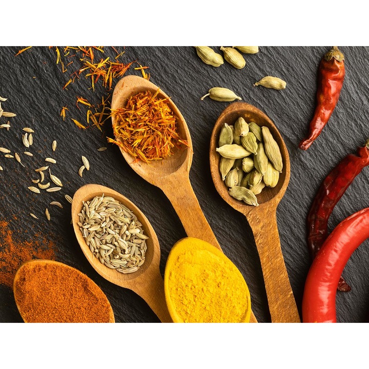 Декоративен панел за кухня Octopus, безопасен, стъклен, защита на печка, против пръски, безопасно стъкло 6мм, UV принт, многоцветен принт, 800ммх600мм окт198-80х60