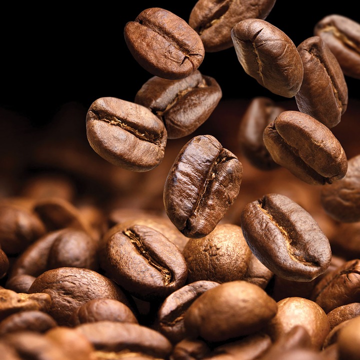 Кухненски декоративен стъклен панел, защита на печка, против пръски, UV печат, Octopus, щампован многоцветен, 650mmx650mm oct158-65x65