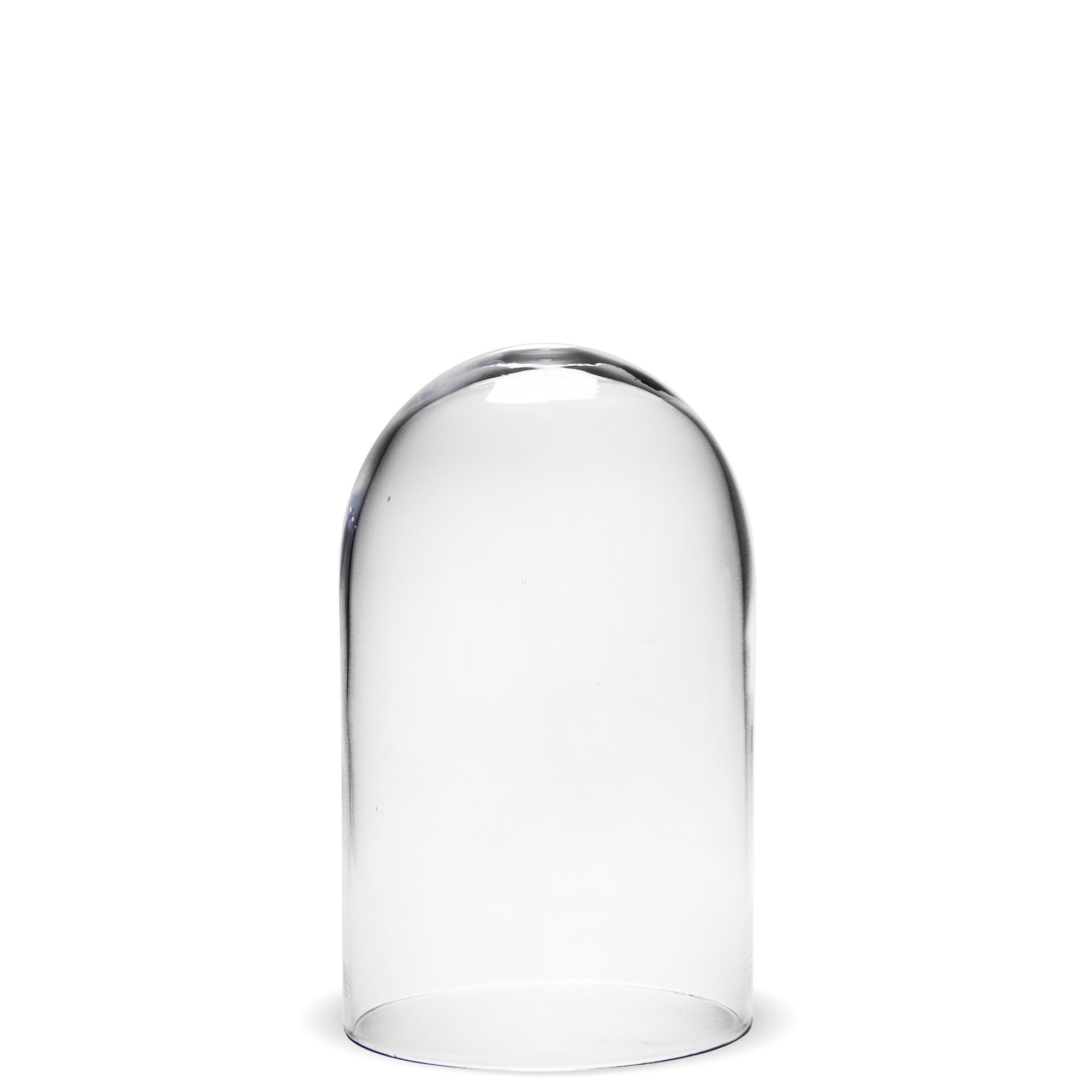 Capac din sticla transparenta, 30x18 cm