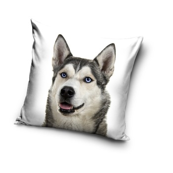 Fata de perna Husky, 40x40 cm Fata de perna Husky, 40x40 cm