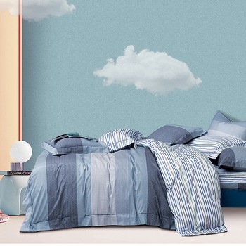 Lenjerie de pat Rosa Cotton 06 , 4 piese, pat dublu, 65% bumbac 35% poliester , tip inchidere nasturi, culoare gri bleo, model dungi Lenjerie de pat Rosa Cotton 06 , 4 piese, pat dublu, 65% bumbac 35% poliester , tip inchidere nasturi, culoare gri bleo, model dungi