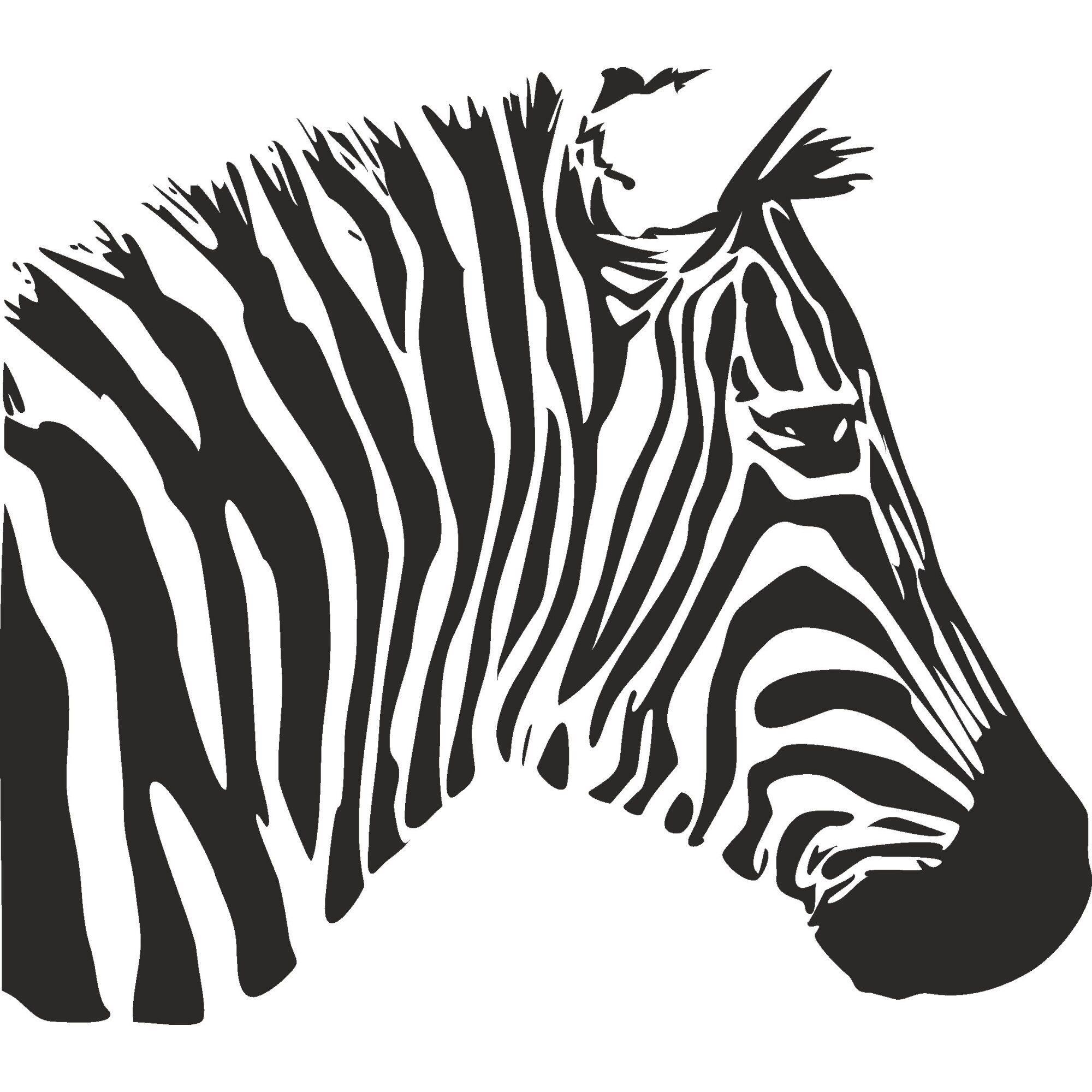 Sticker decorativ perete / geam si auto, Zebra, 30x26 cm