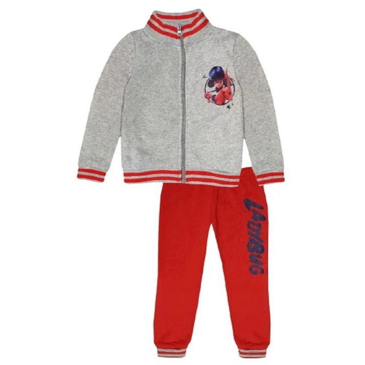 Trening fete cu fermoar Lady Bug 8545, Gri