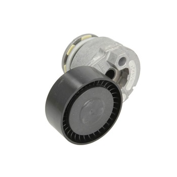 Rola intinzator curea transmisie Logan II/Sandero II/Dokker/Lodgy /Duster 1,5 DCI/1,6 16V 2012-2020 OE Renault Rola intinzator curea transmisie Logan II/Sandero II/Dokker/Lodgy /Duster 1,5 DCI/1,6 16V 2012-2020 OE Renault