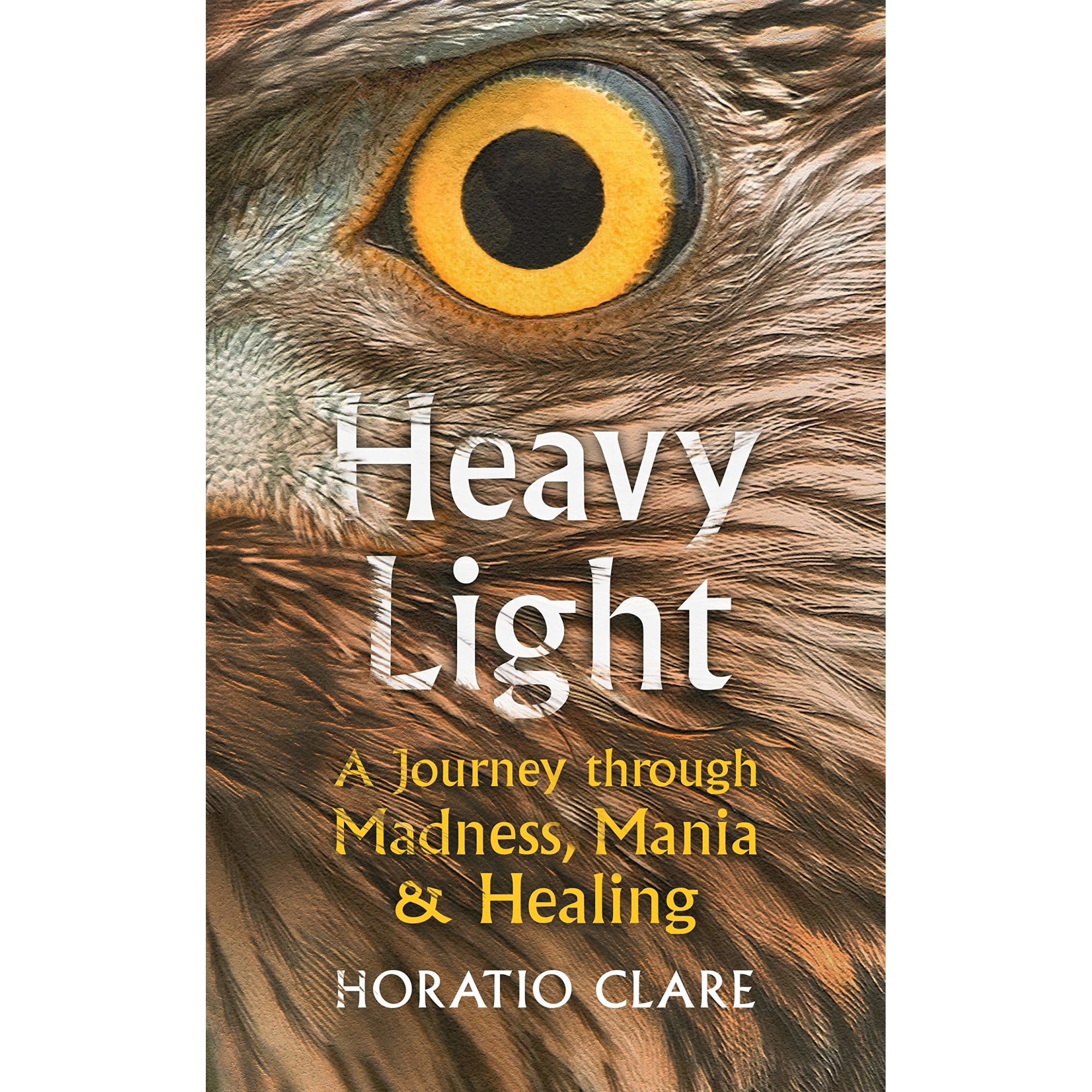 Heavy Light - Horatio Clare