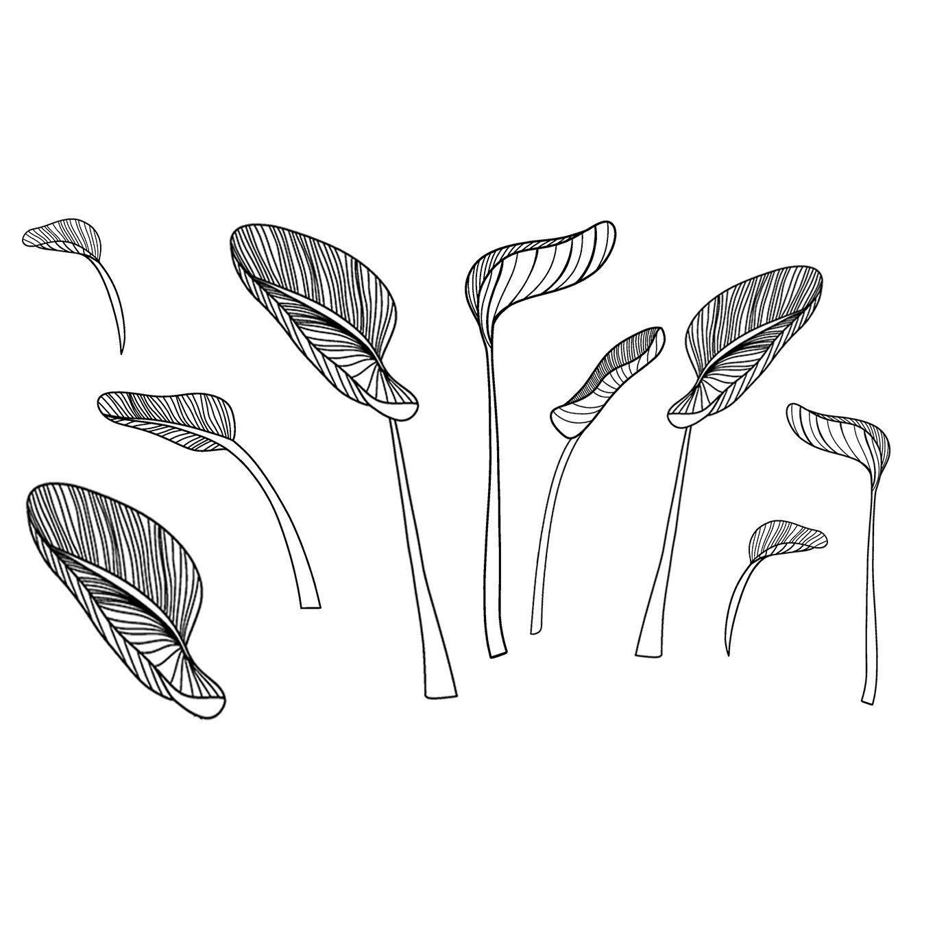 Sticker decorativ perete, premium, model 