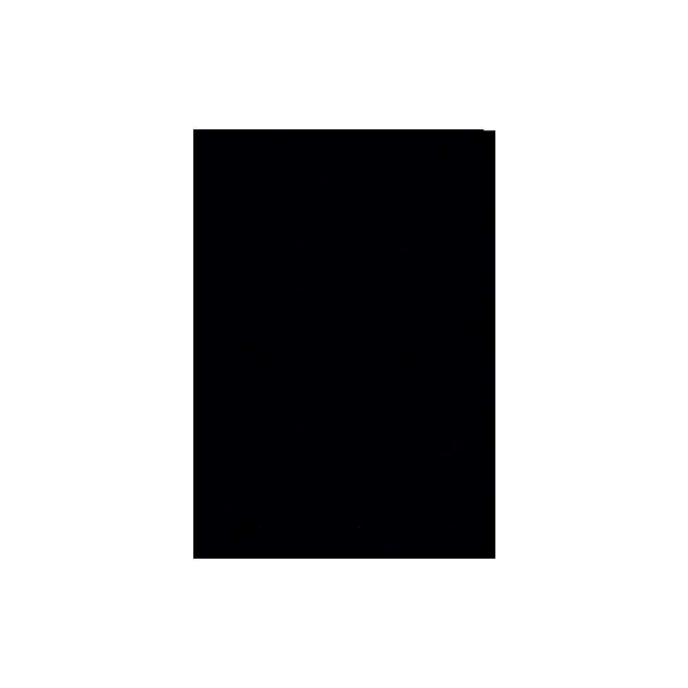 Coperti indosariere A4, A-series, imitatie piele, 250gmp, negru, 100coli/top