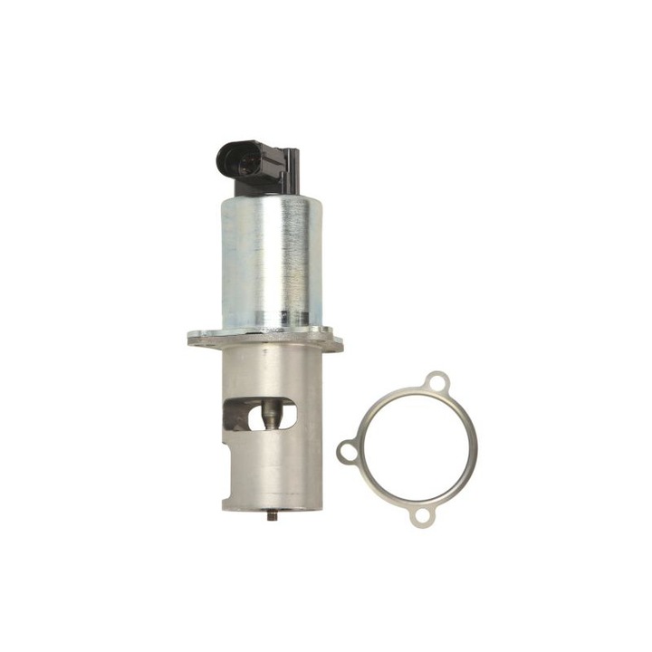 EGR szelep Volvo S40 I, V40, Dacia Solenza, Mitsubishi Carisma, Space Star, Nissan Interstar, Primastar, Opel Movano, Vivaro A, Renault Clio II, Espace IV, Kangoo