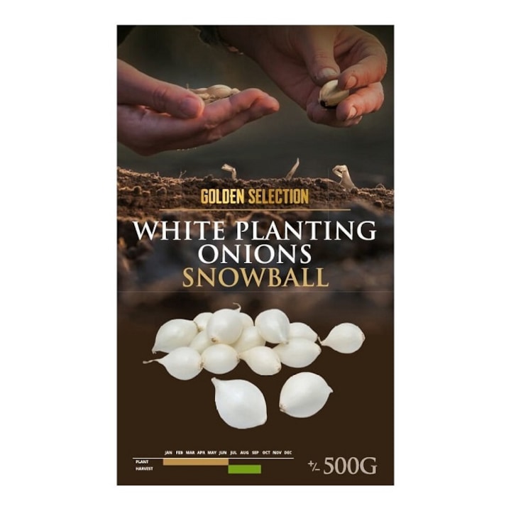 Arpagic Snowball, bulbi de ceapa alba, Soi tarziu, 500 gr