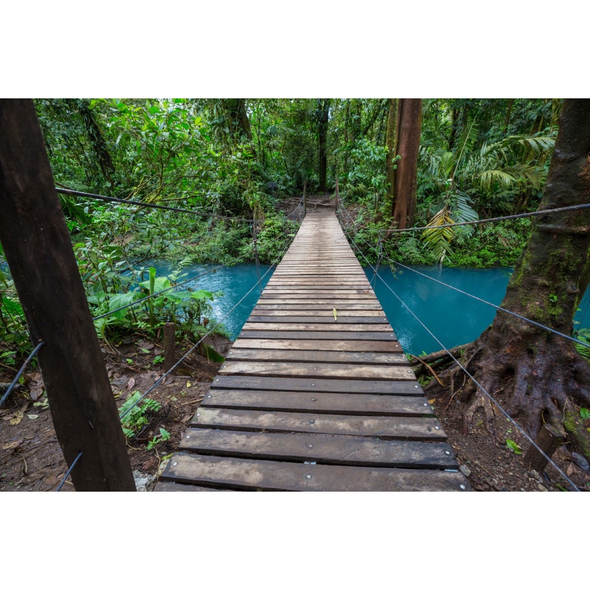 Fototapet de perete autoadeziv si lavabil Podet in padure Costa Rica, 220 x 135 cm