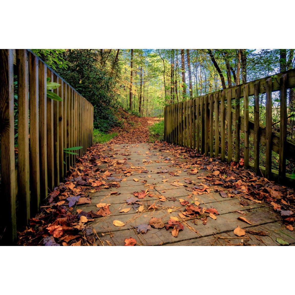 Tablou canvas Podet in padure, 105 x 70 cm