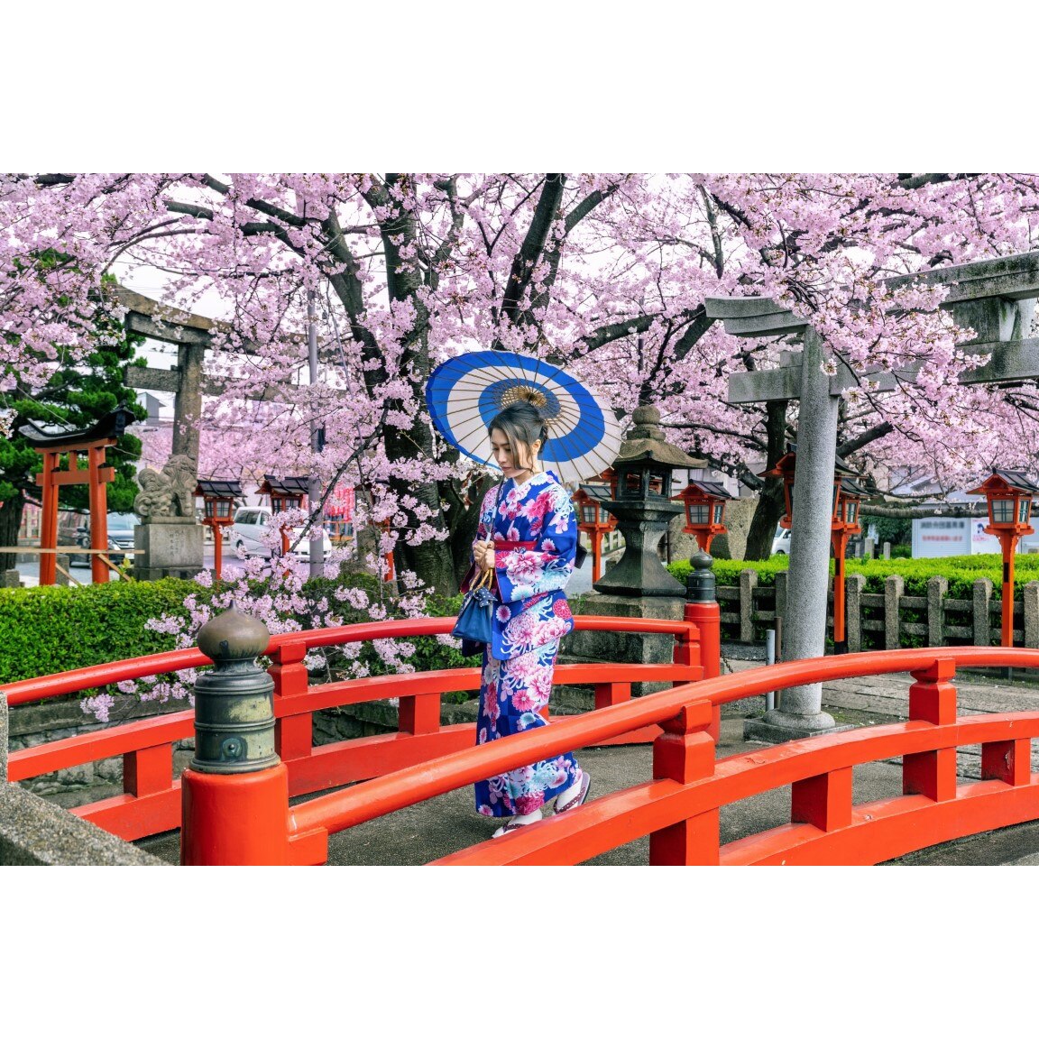 Tablou canvas Podet cu ciresi infloriti, 75 x 50 cm