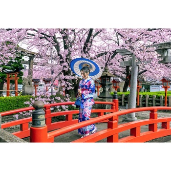 Tablou canvas Podet cu ciresi infloriti, 45 x 30 cm Tablou canvas Podet cu ciresi infloriti, 45 x 30 cm