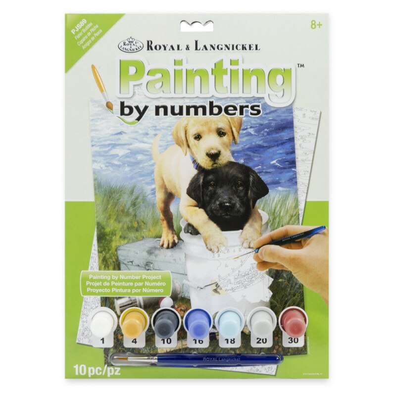 Set pictura pe numere, Royal Langnickel, 89 - Fishin' Buddies, 23 x 30 cm