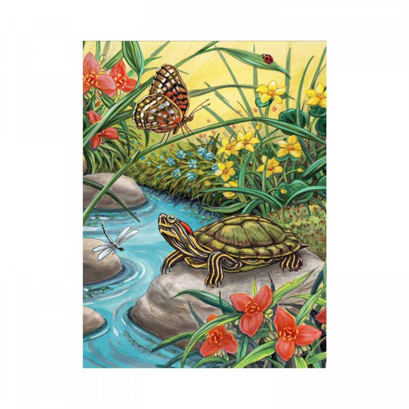 Set pictura pe numere, Royal Langnickel, 91 - Turtle, 23 x 30 cm